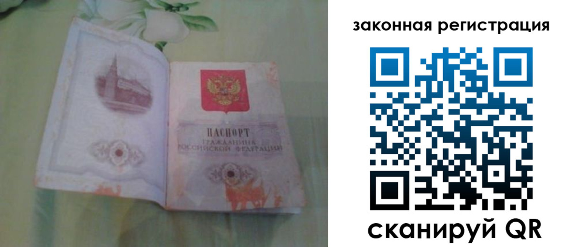 прописка в Тосно